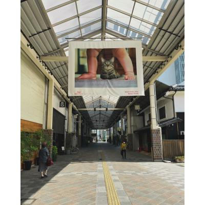 セフレ掲示板【岡山県でセフレ募集するなら】  |  セフレ掲示板【セックス募集】