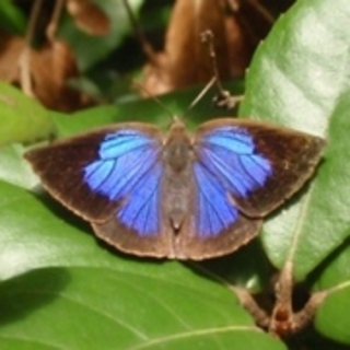 セフレ掲示板【セックス募集】  |  各地でセフレ募集している女性をご紹介しているサイトです。久しくセックスをしていない人やセフレをどんどん増やしたい人はぜひこちらで探して下さい。